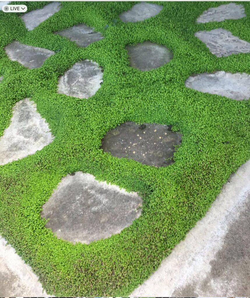 Rock Landscaping Merced