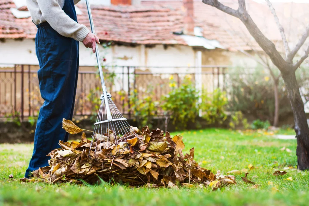 yard cleanup service Merced